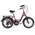 دوچرخه کودک شهری مدل CH20-ROYAL سایز طوقه 20 اینچ